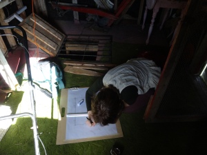 Andrea, drawing the Carey root cellar. Photo: D. Hurich